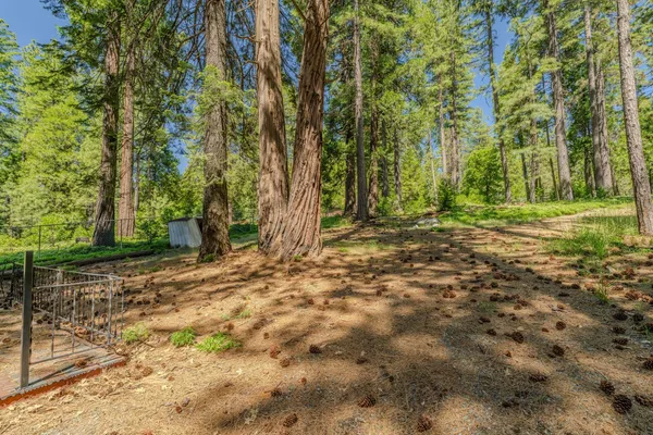 a view of a hallway with wooden floor and glass door