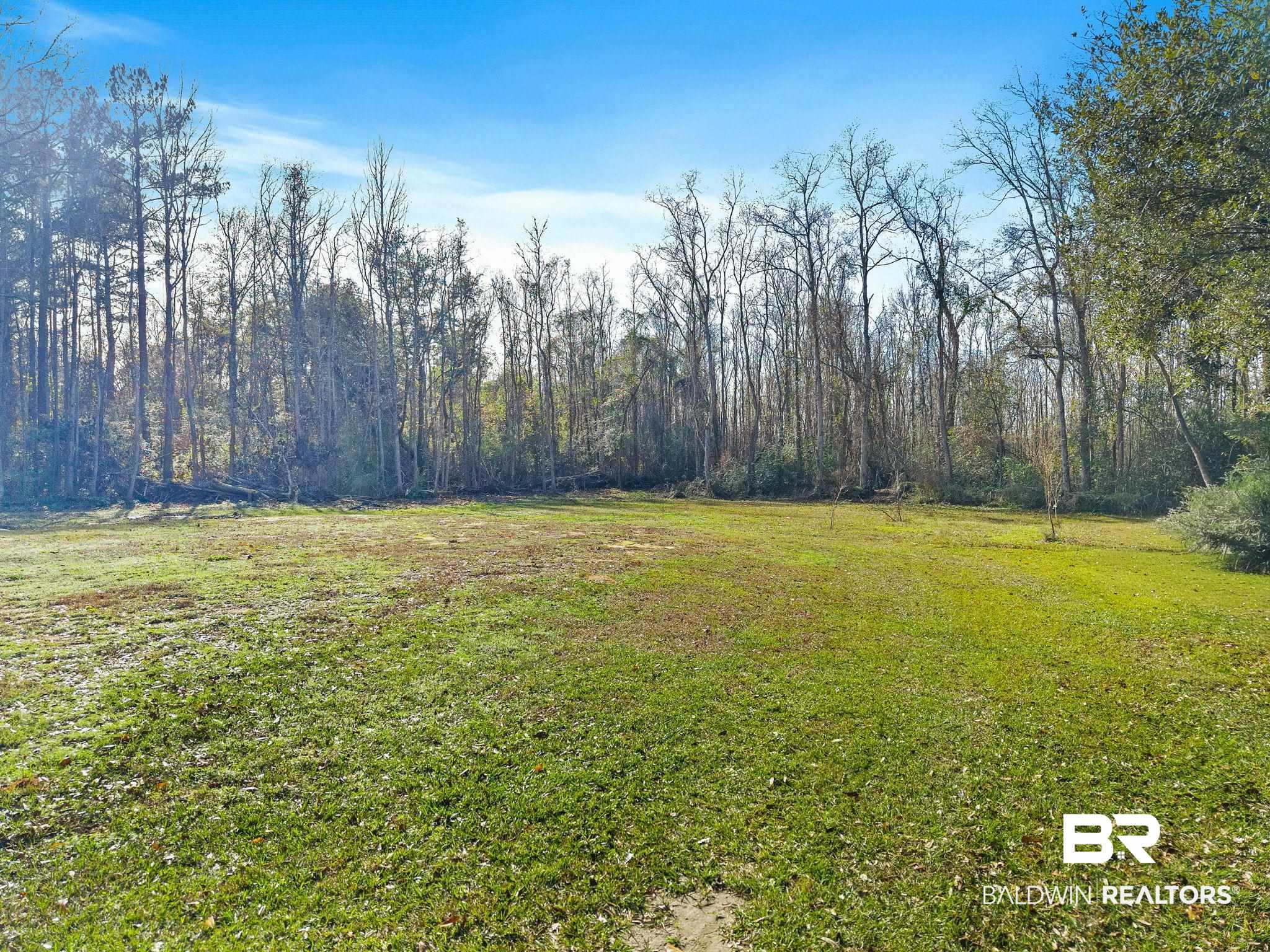 17366 Old Brady Road Bay Minette, AL 36507 - Photo 33 of 43 View of green lawn featuring a wooded view