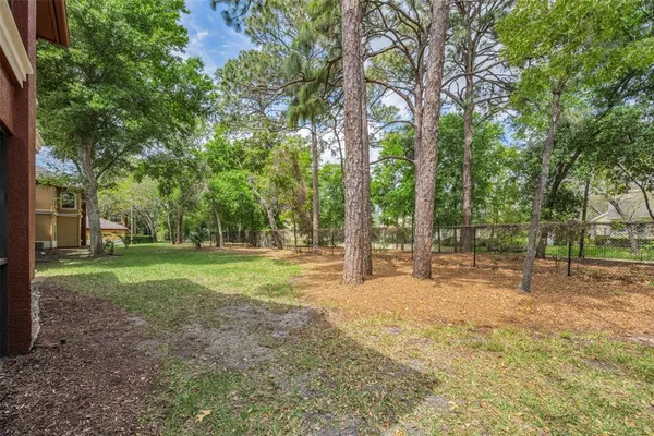 a view of a tree in a park