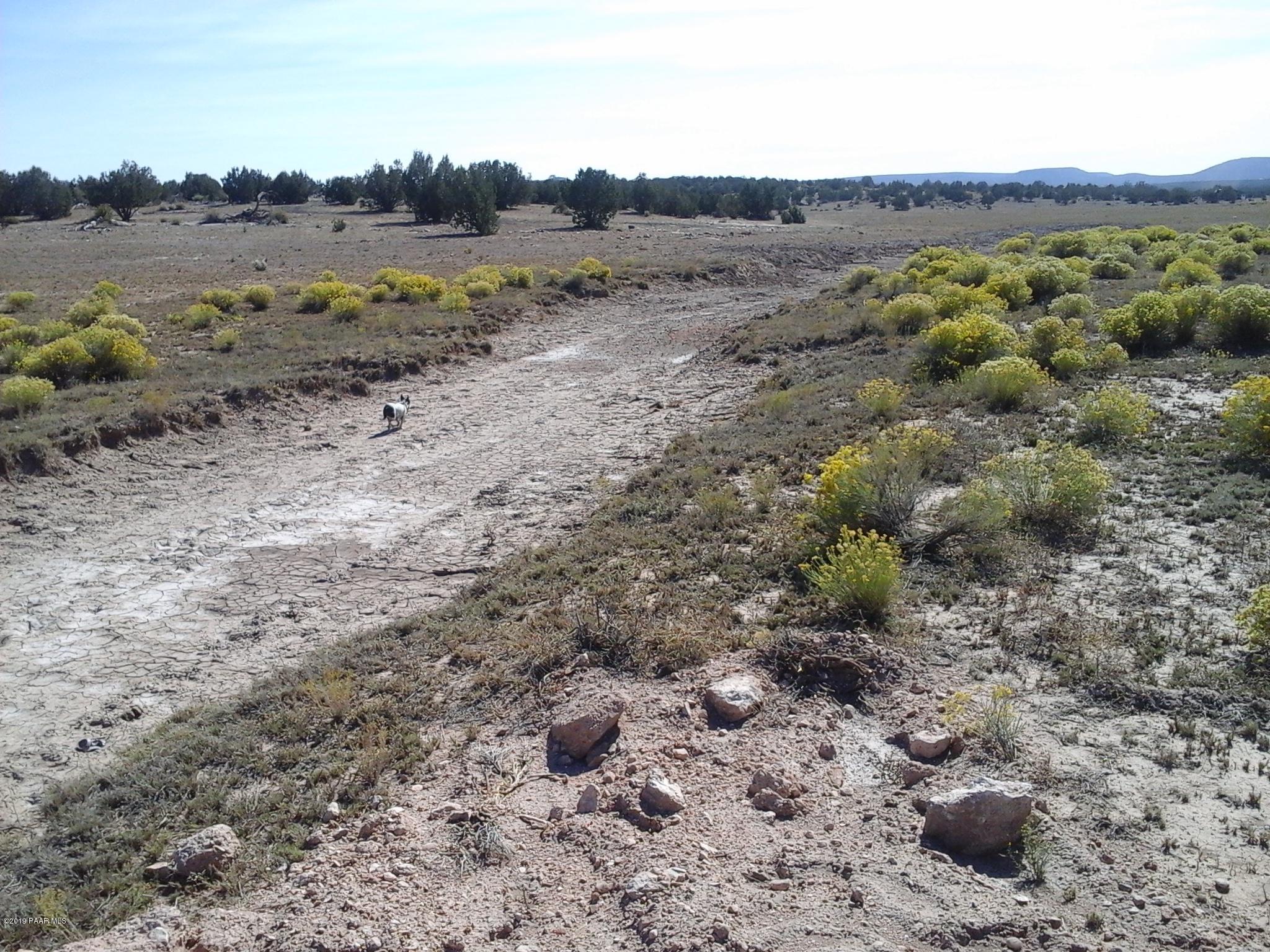 45365 Arizona Road Ash Fork, AZ 86320 - Photo 16 of 18 20191016_132336