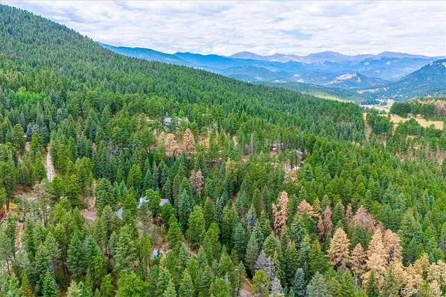 a view of a lush green hillside and a houses