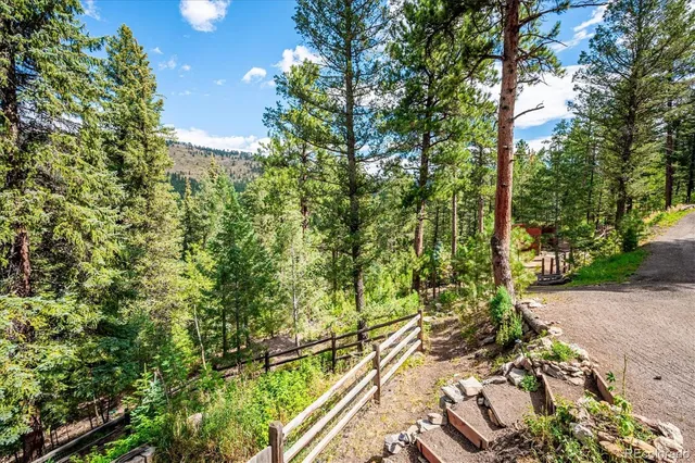 a view of a yard with plants and large trees