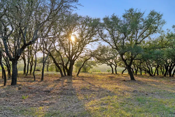 $995,000 | Undisclosed Address, Spicewood, TX 78669