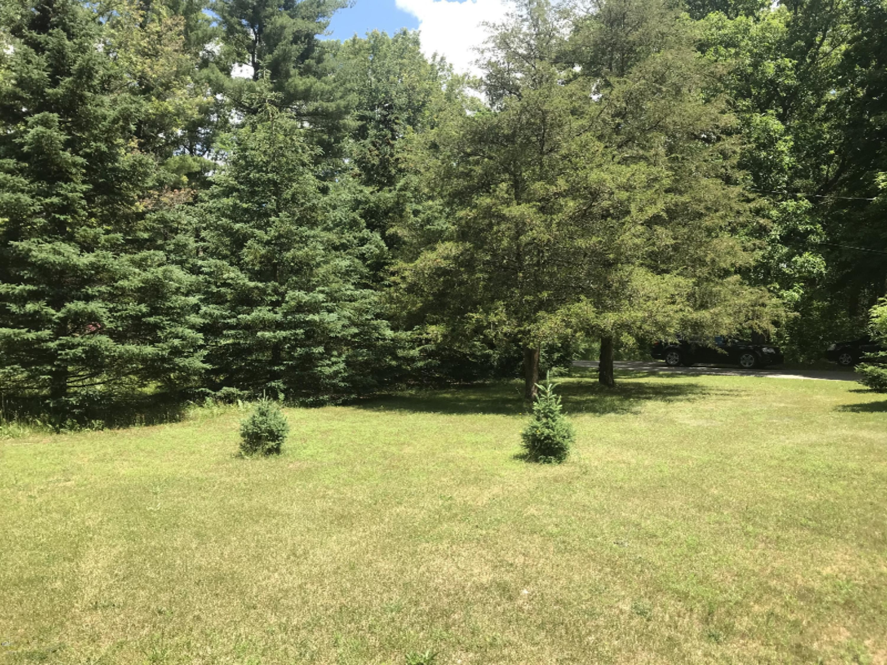 22723 Kendaville Road Pierson, MI 49339 - Photo 14 of 16 IMG_2289