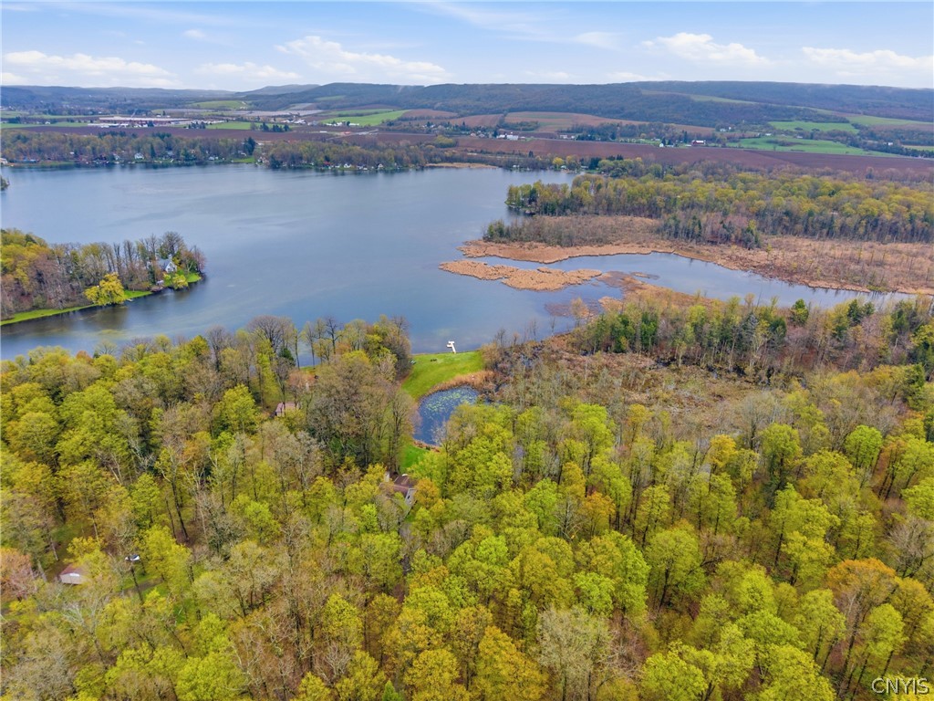 7566 Old Woods Road Preble, NY 13159 - Photo 46 of 50 Neighboring 67+ acres of woods belonging to the CN