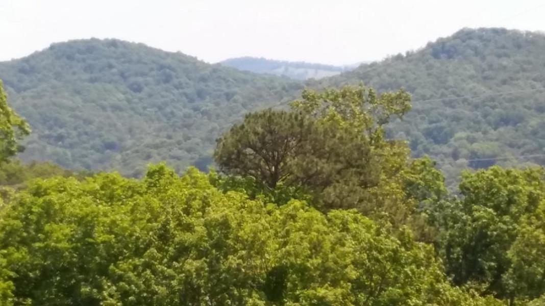 0 Collingsworth Road Sneedville, TN 37869 - Photo 8 of 16 20200213150953316456000000-o