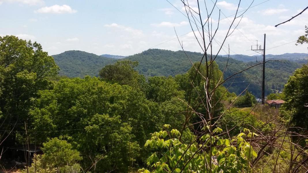 0 Collingsworth Road Sneedville, TN 37869 - Photo 9 of 16 20200213150954507718000000-o