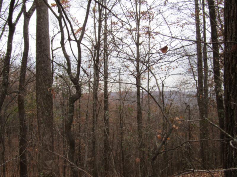 13-ac Upper Crab Road Jamestown, TN 38556 - Photo 14 of 16 VIEWS