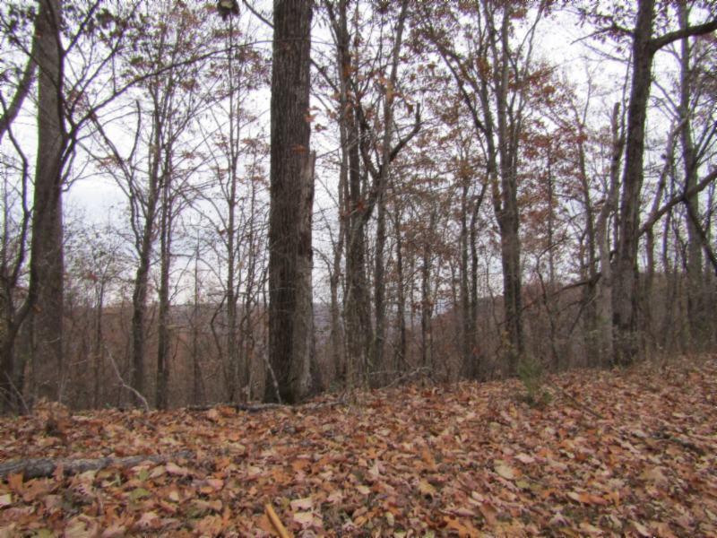 13-ac Upper Crab Road Jamestown, TN 38556 - Photo 5 of 16 IMG_5991