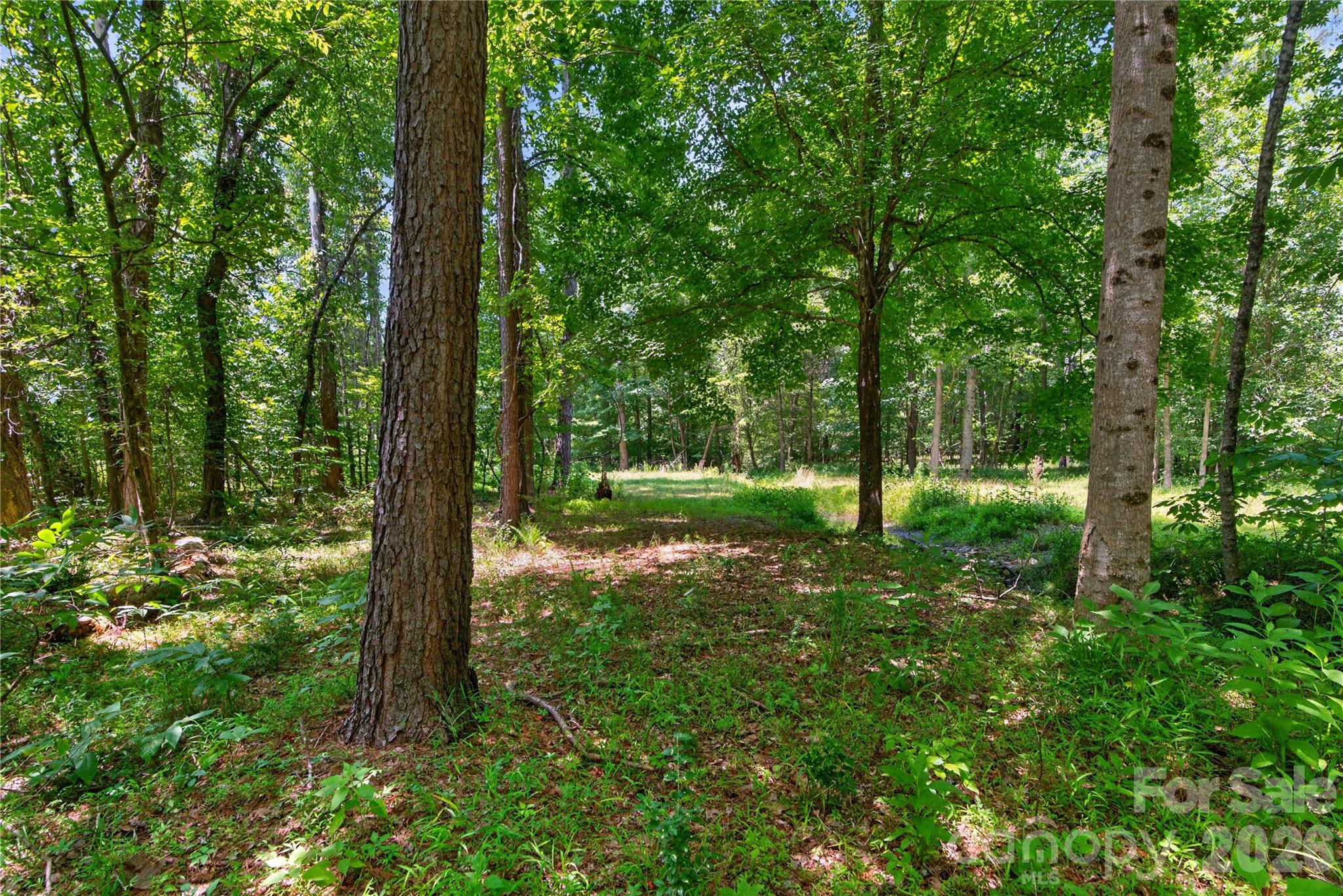 0 Blanton Road, Unit 2 Sharon, SC 29742 - Photo 41 of 43