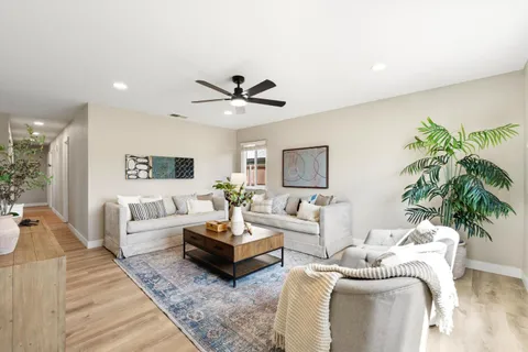 a living room with furniture potted plant and a rug