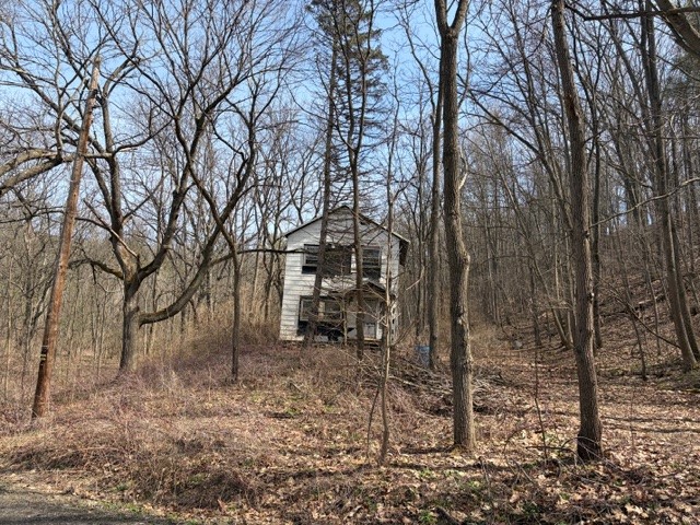 5440 Wilkinson Road Hector, NY 14841 - Photo 3 of 16