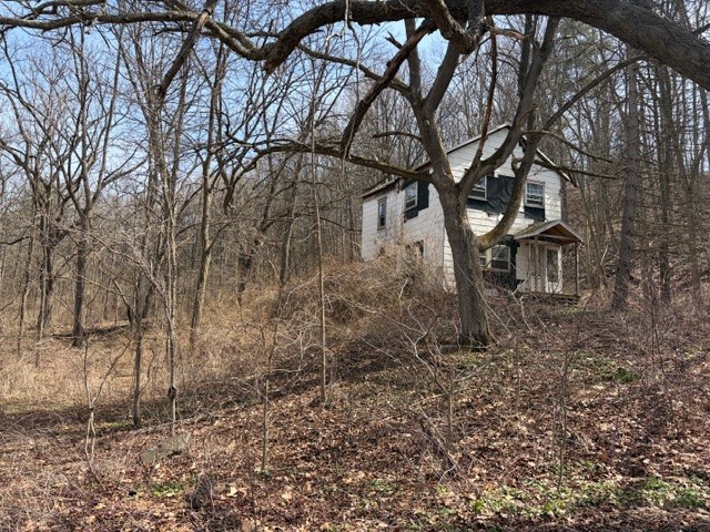 5440 Wilkinson Road Hector, NY 14841 - Photo 4 of 16