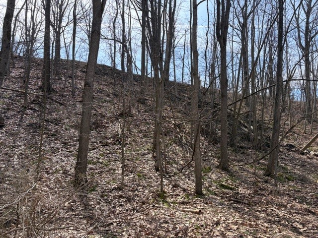 5440 Wilkinson Road Hector, NY 14841 - Photo 6 of 16