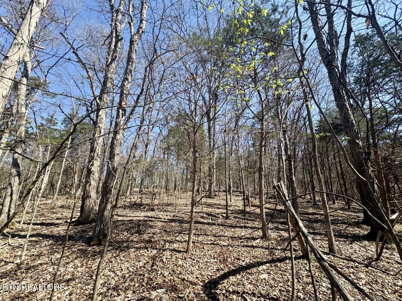 456 Geisler Road Piney Flats, TN 37686 - Photo 8 of 16 69d3e48ebef23