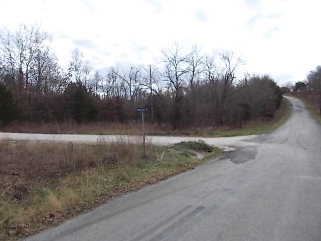 0 Springfield Road Buffalo, MO 65622 - Photo 1 of 1 DSCN1289