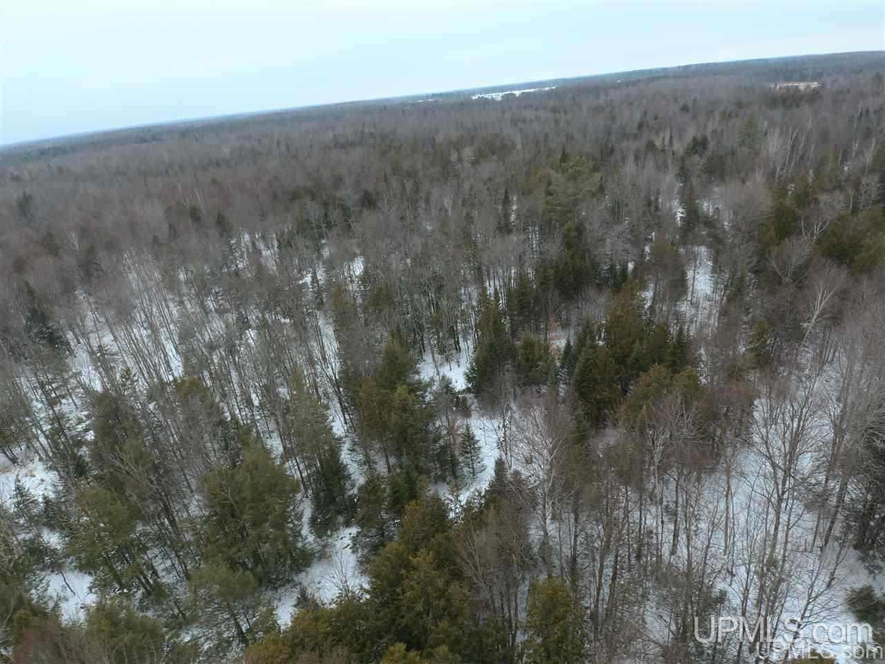 Tbd Winters/savola Road Trenary, MI 49891 - Photo 17 of 19