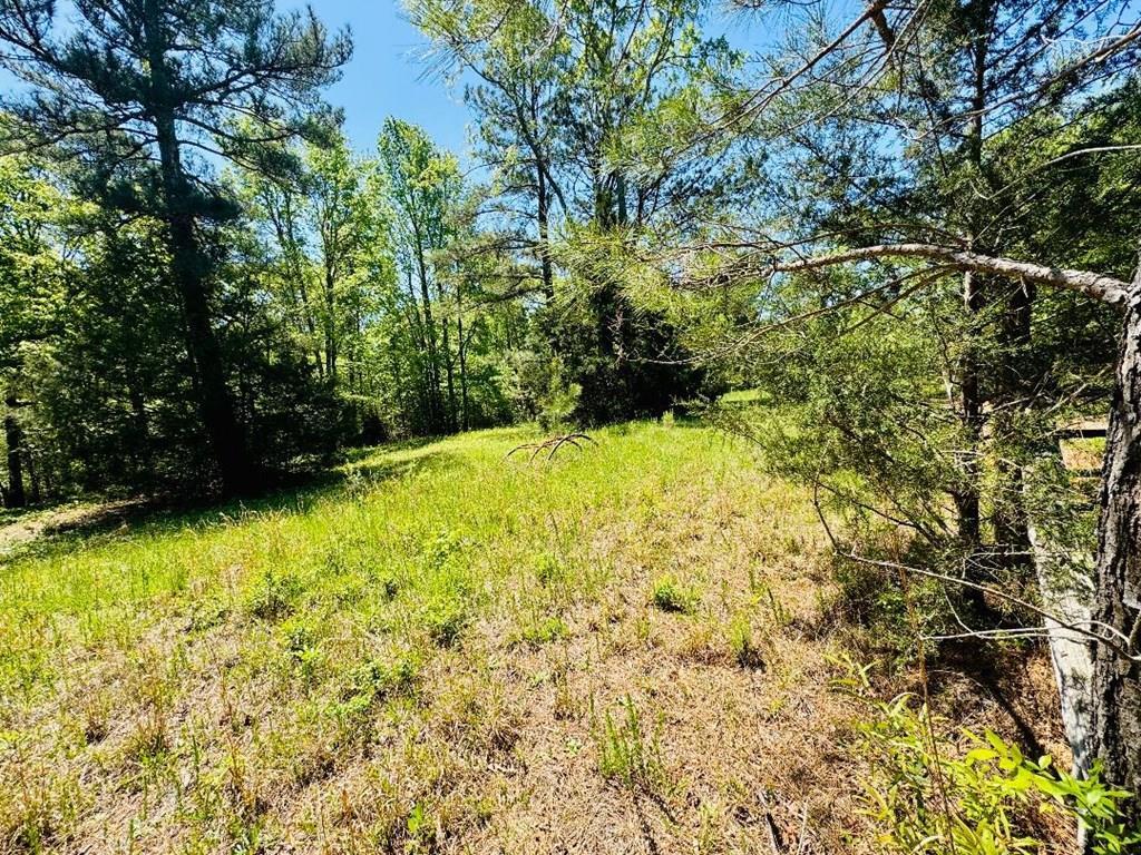 10389 Indian Mound Road Ware Shoals, SC 29692 - Photo 12 of 34 Gallery Image 12