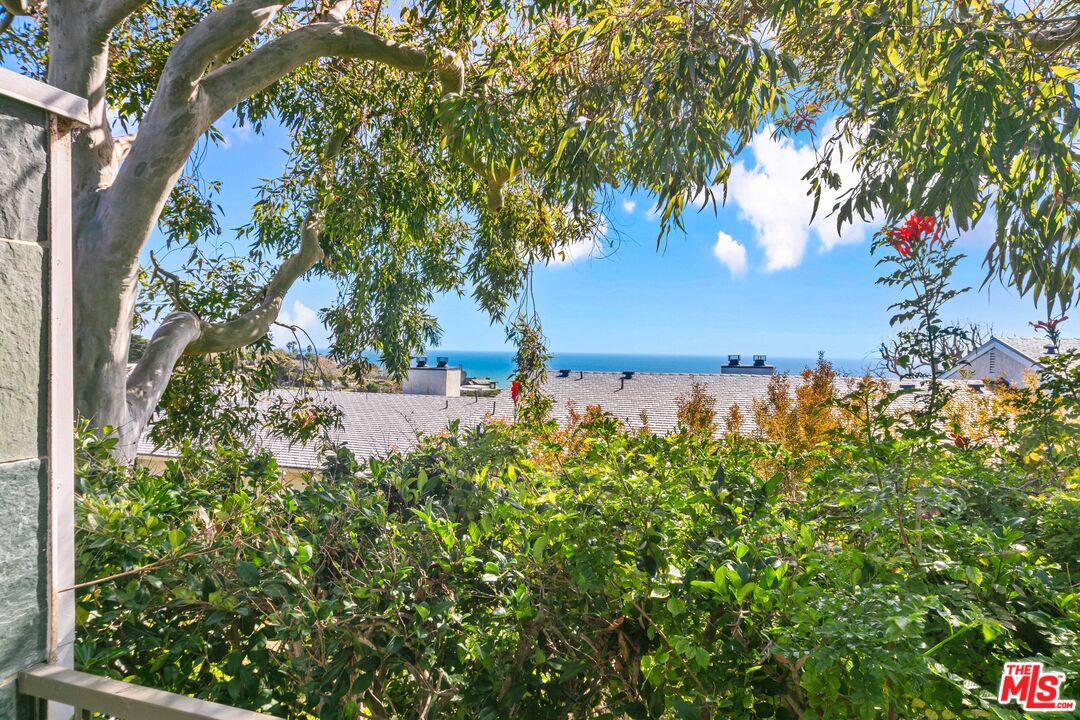 6801 Seawatch Lane Malibu, CA 90265 - Photo 16 of 34 a view of a yard