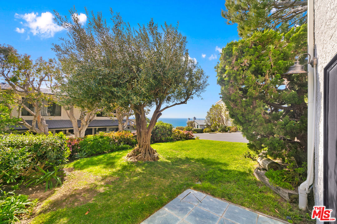 6801 Seawatch Lane Malibu, CA 90265 - Photo 23 of 34 a backyard of a house with yard and outdoor seating