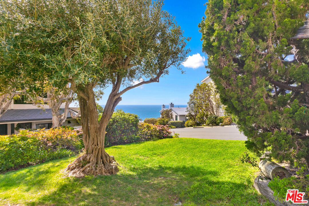6801 Seawatch Lane Malibu, CA 90265 - Photo 24 of 34 a view of a yard with a tree