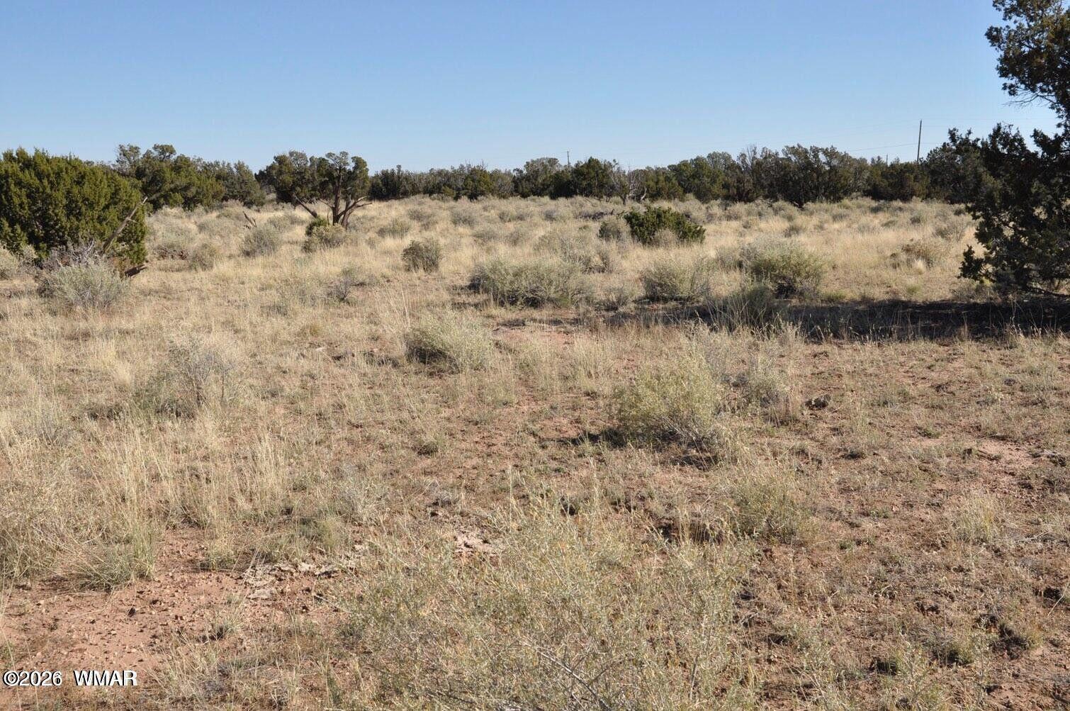 5039 Pima Road Snowflake, AZ 85937 - Photo 13 of 21 a view of lake with green space