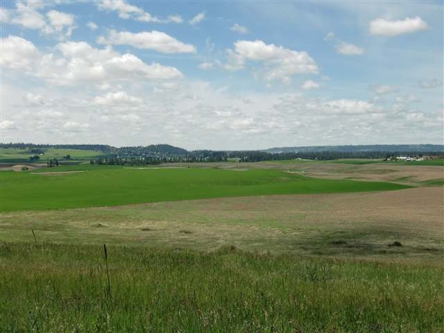 0 East Day Road Mead, WA 99021 - Photo 1 of 6