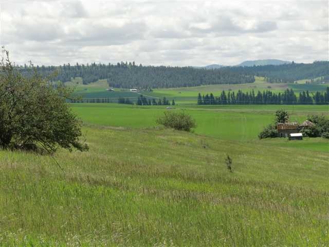 0 East Day Road Mead, WA 99021 - Photo 2 of 6