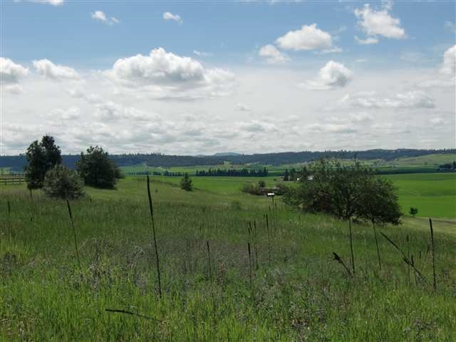 0 East Day Road Mead, WA 99021 - Photo 3 of 6