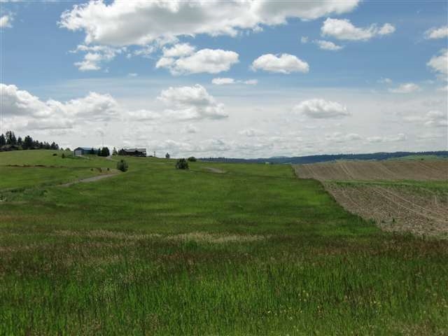 0 East Day Road Mead, WA 99021 - Photo 5 of 6