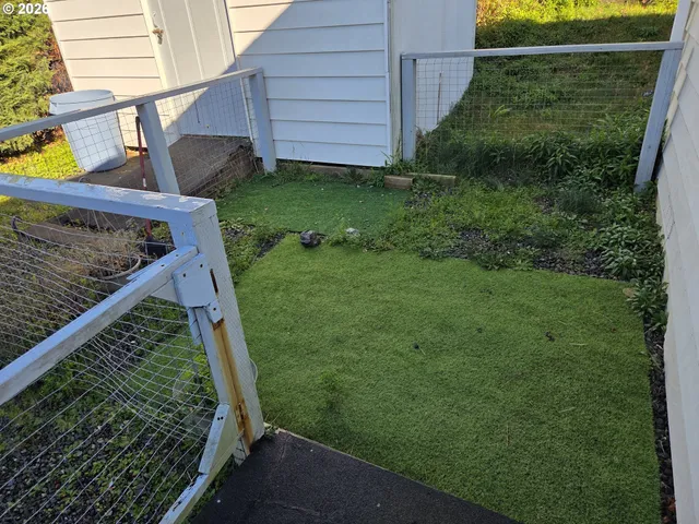 a view of a backyard