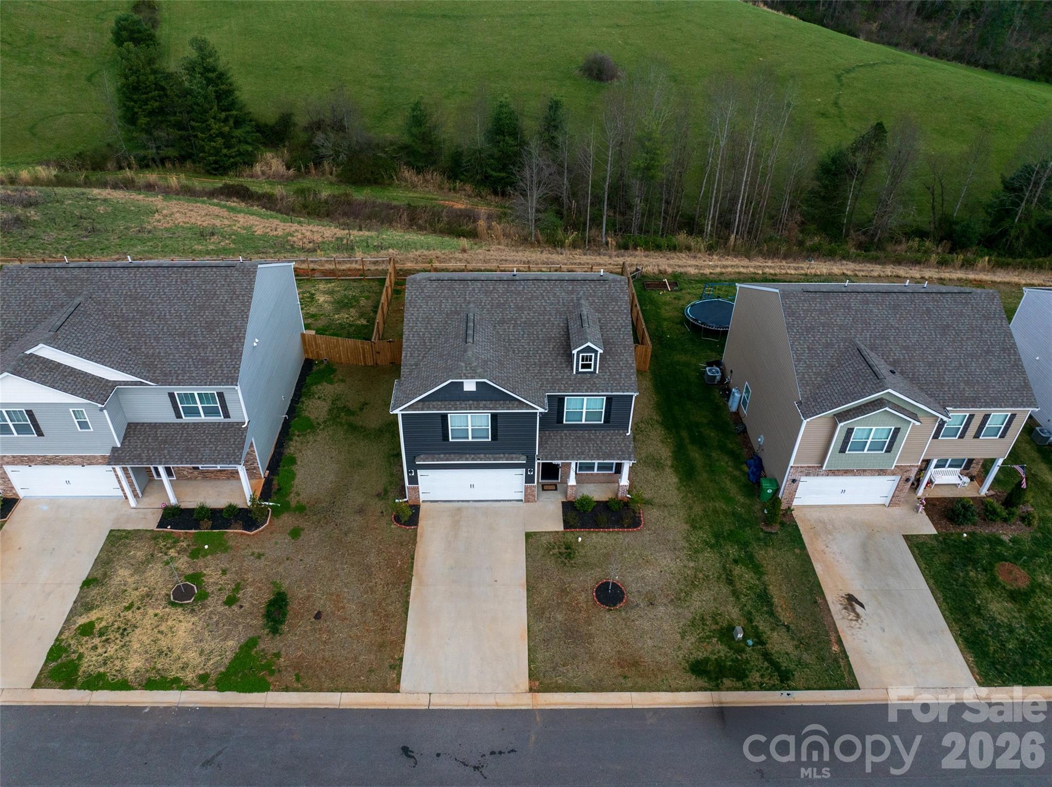 228 Ridgeview Lane Mars Hill, NC 28754 - Photo 29 of 31