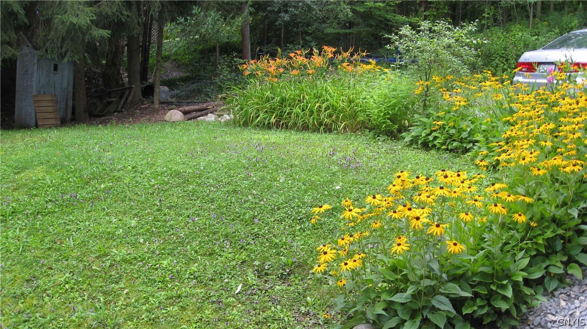 2000 Lower Burma Road Spafford, NY 13152 - Photo 6 of 50 Gallery Image 6
