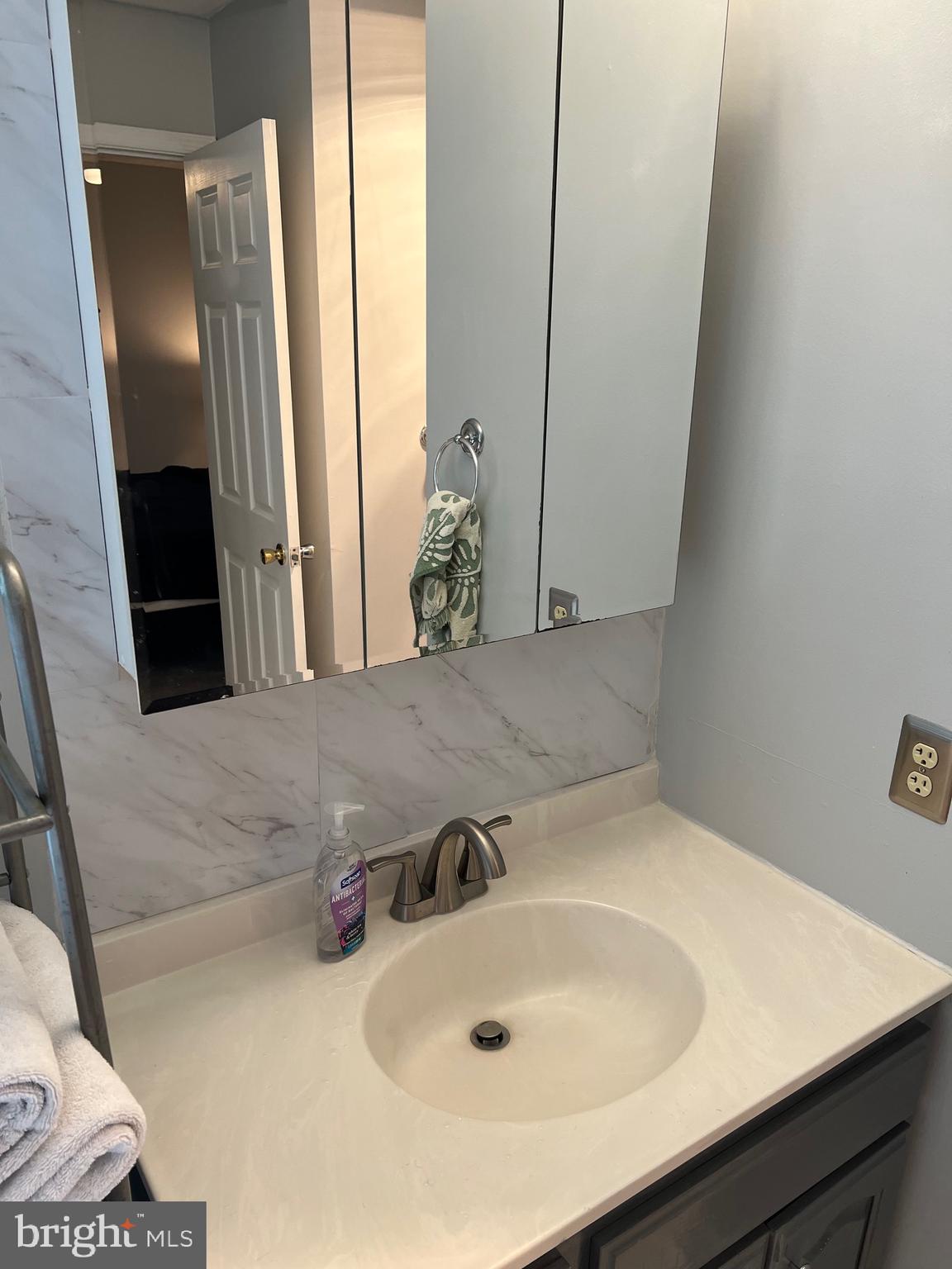 42454 Wilderness Road Leonardtown, MD 20650 - Photo 15 of 22 Primary Bath vanity