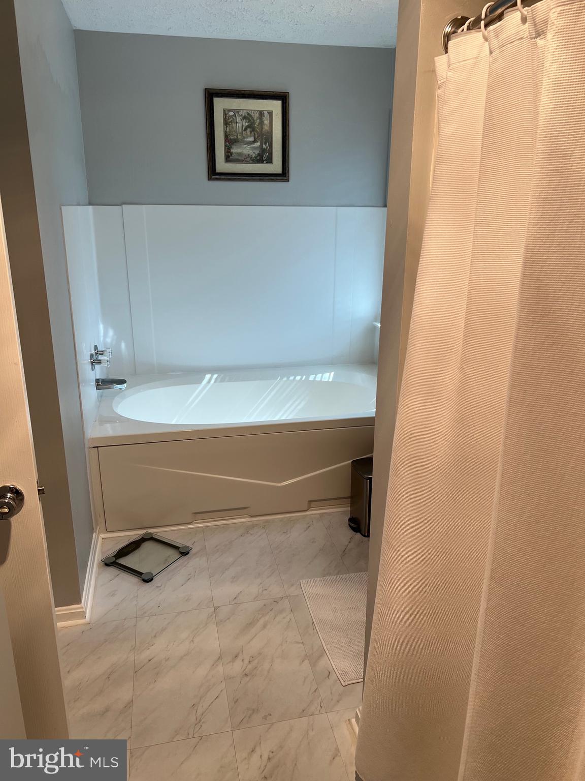 42454 Wilderness Road Leonardtown, MD 20650 - Photo 16 of 22 Primary Bath Soaking Tub