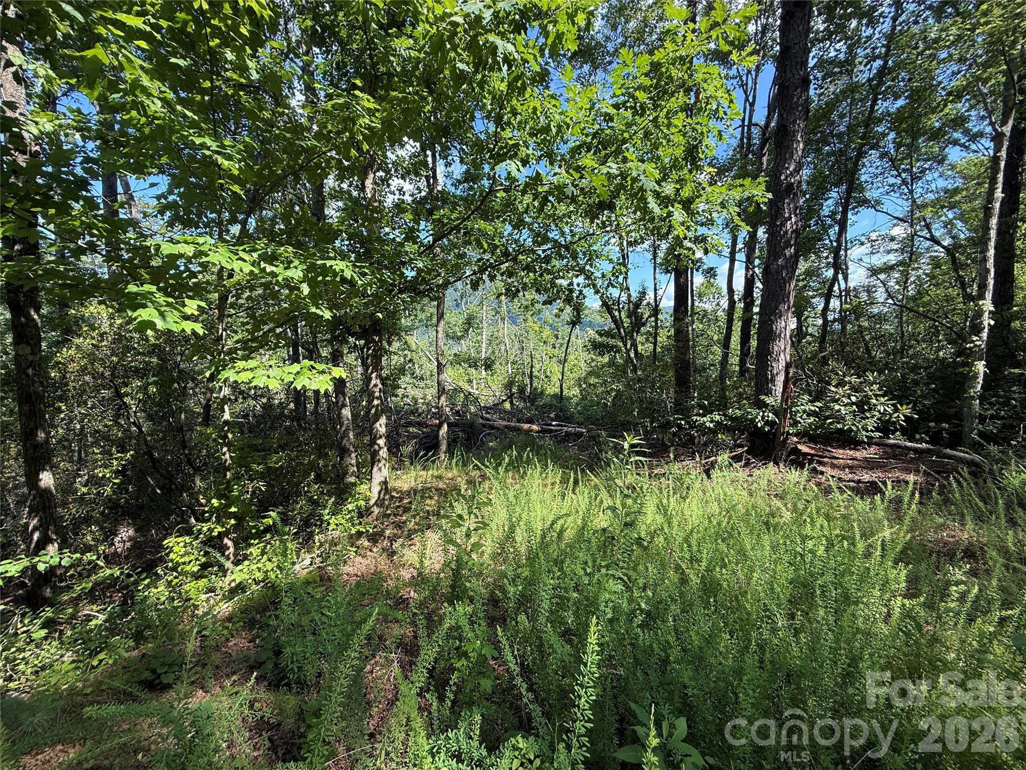 999 Fox Rdg Trail, Unit 7 Marion, NC 28752 - Photo 4 of 13