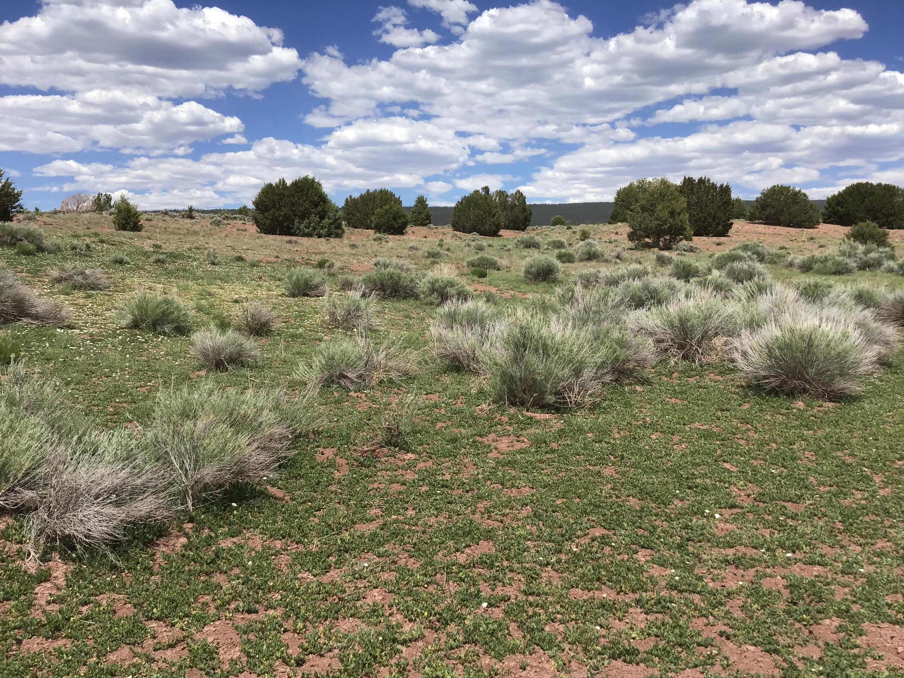 Lot D Timberlake Road Ramah, NM 87321 - Photo 19 of 45 Gallery Image 19