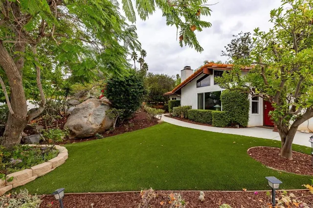 a view of a street with a tree
