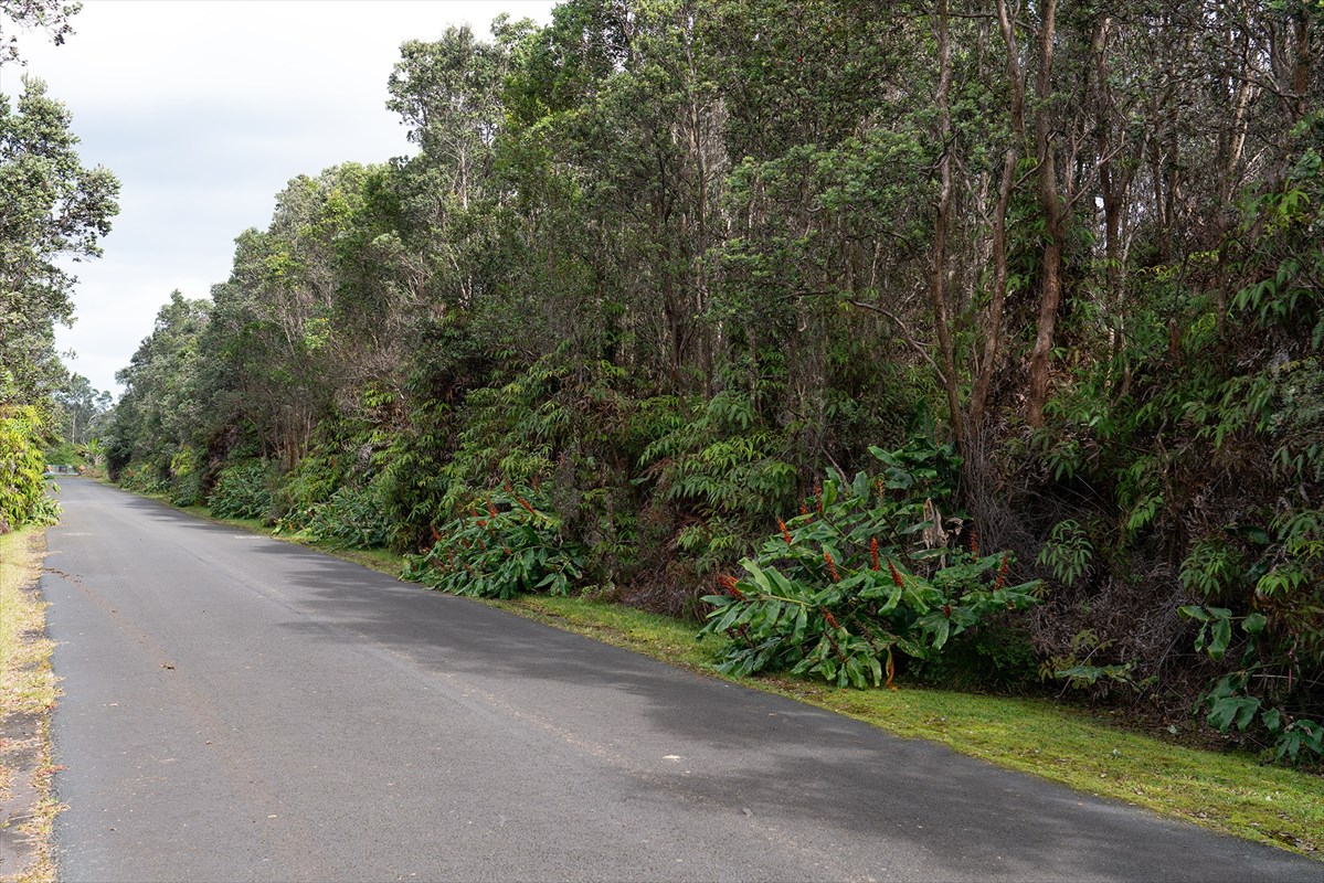 322 3rd Street Volcano, HI 96785 - Photo 2 of 3 Gallery Image 2