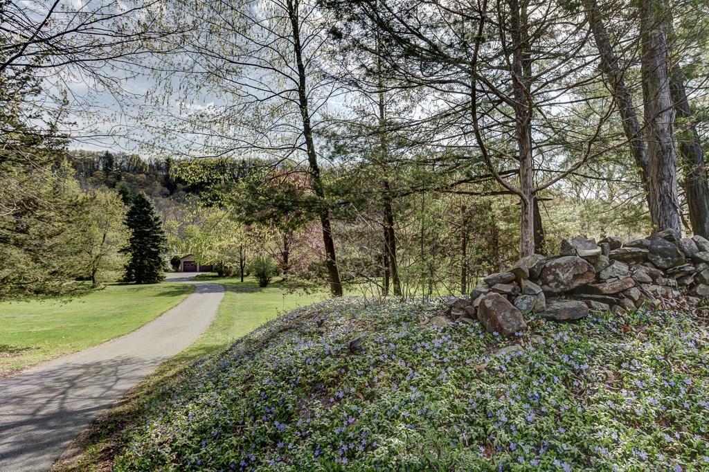 a big yard with lots of green space and trees
