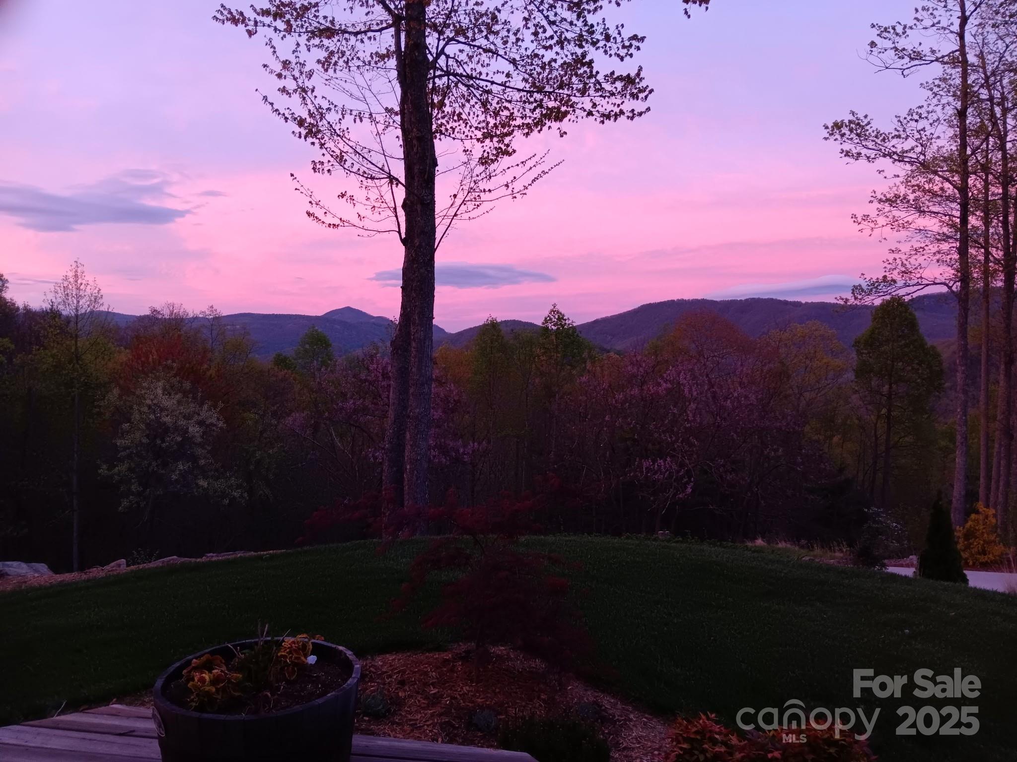 645 Silverglen Way Hendersonville, NC 28792 - Photo 40 of 41