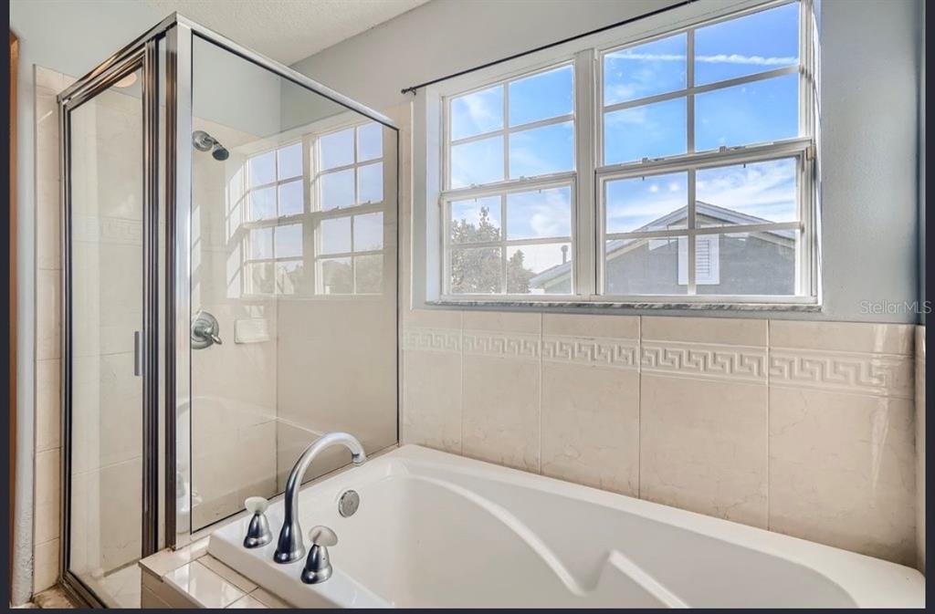 16113 Bridgecrossing Drive Lithia, FL 33547 - Photo 8 of 24 a bathroom with a bathtub and a shower