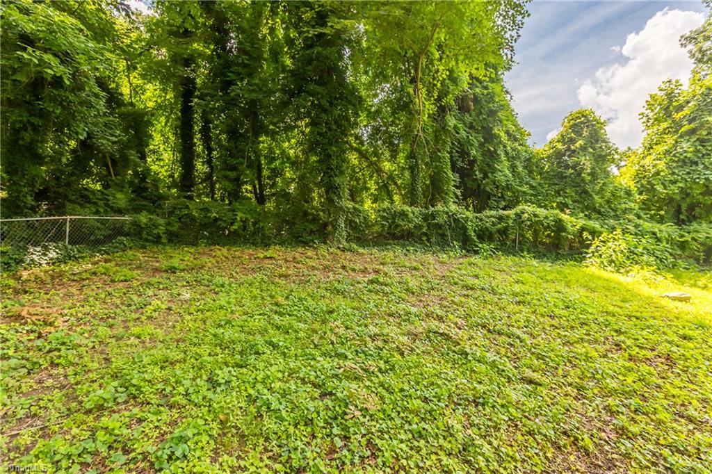 1224 Fenimore Street Winston-Salem, NC 27103 - Photo 31 of 31