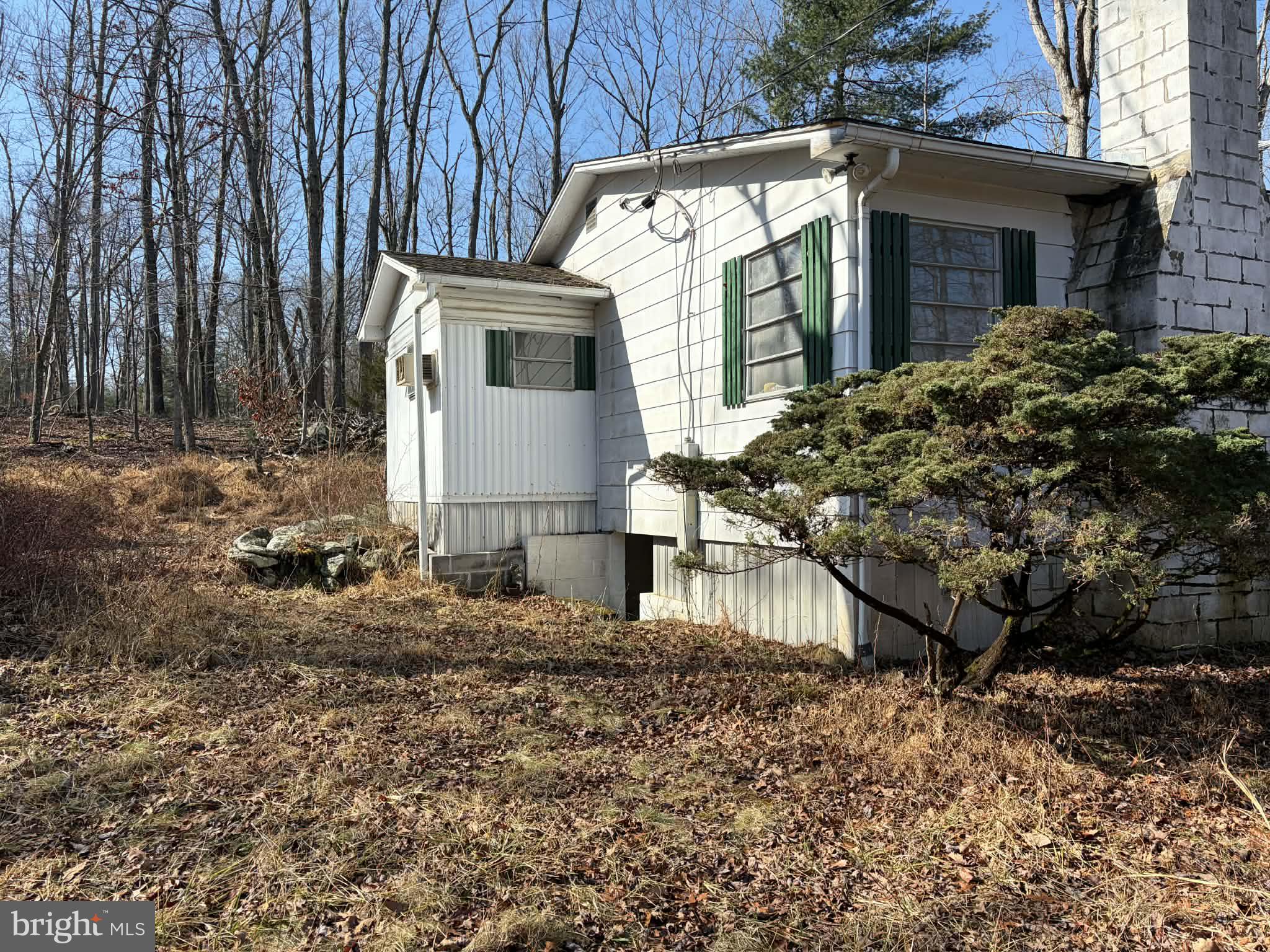 a view of a house with a yard and large tree