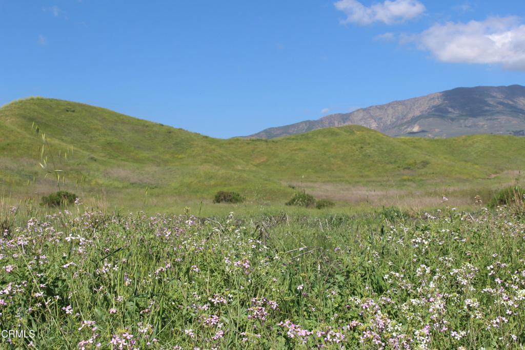 0 Dickenson Road Santa Paula, CA 93060 - Photo 6 of 44 Flower Fields