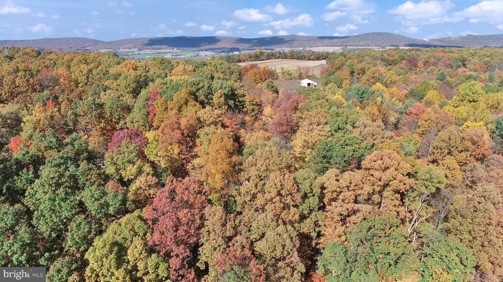 364 Small Valley Road Halifax, PA 17032 - Photo 64 of 69 Gallery Image 64