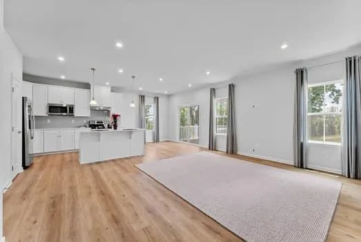 a living room with furniture and a potted plant