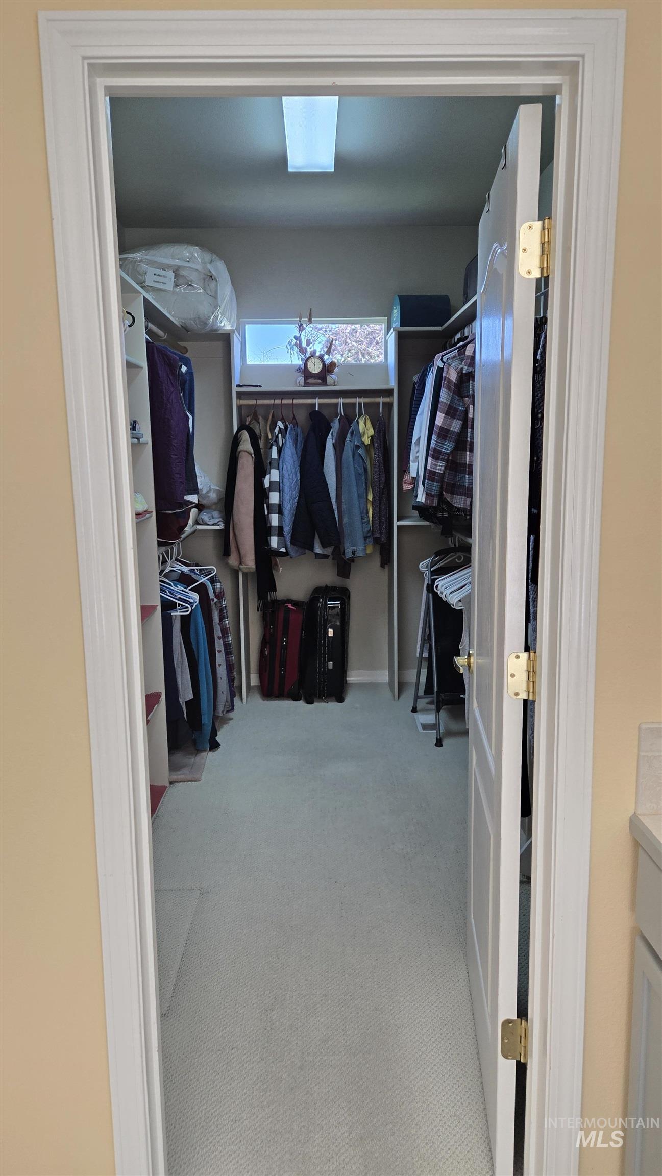 2898 North Silverleaf Way Meridian, ID 83646 - Photo 13 of 26 Walk in closet with light colored carpet