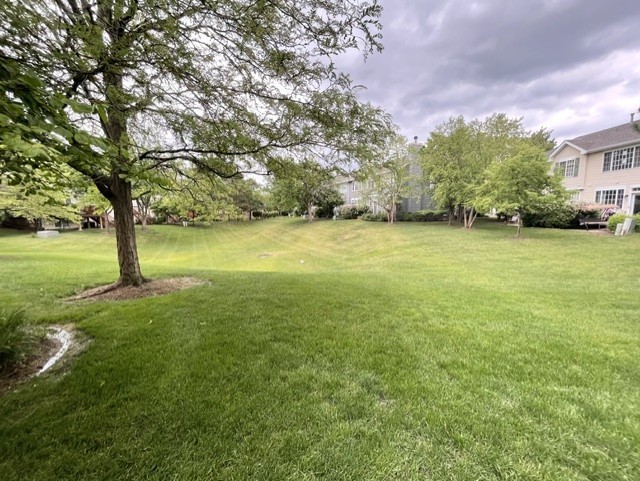 5454 Elizabeth Place Rolling Meadows, IL 60008 - Photo 21 of 21
