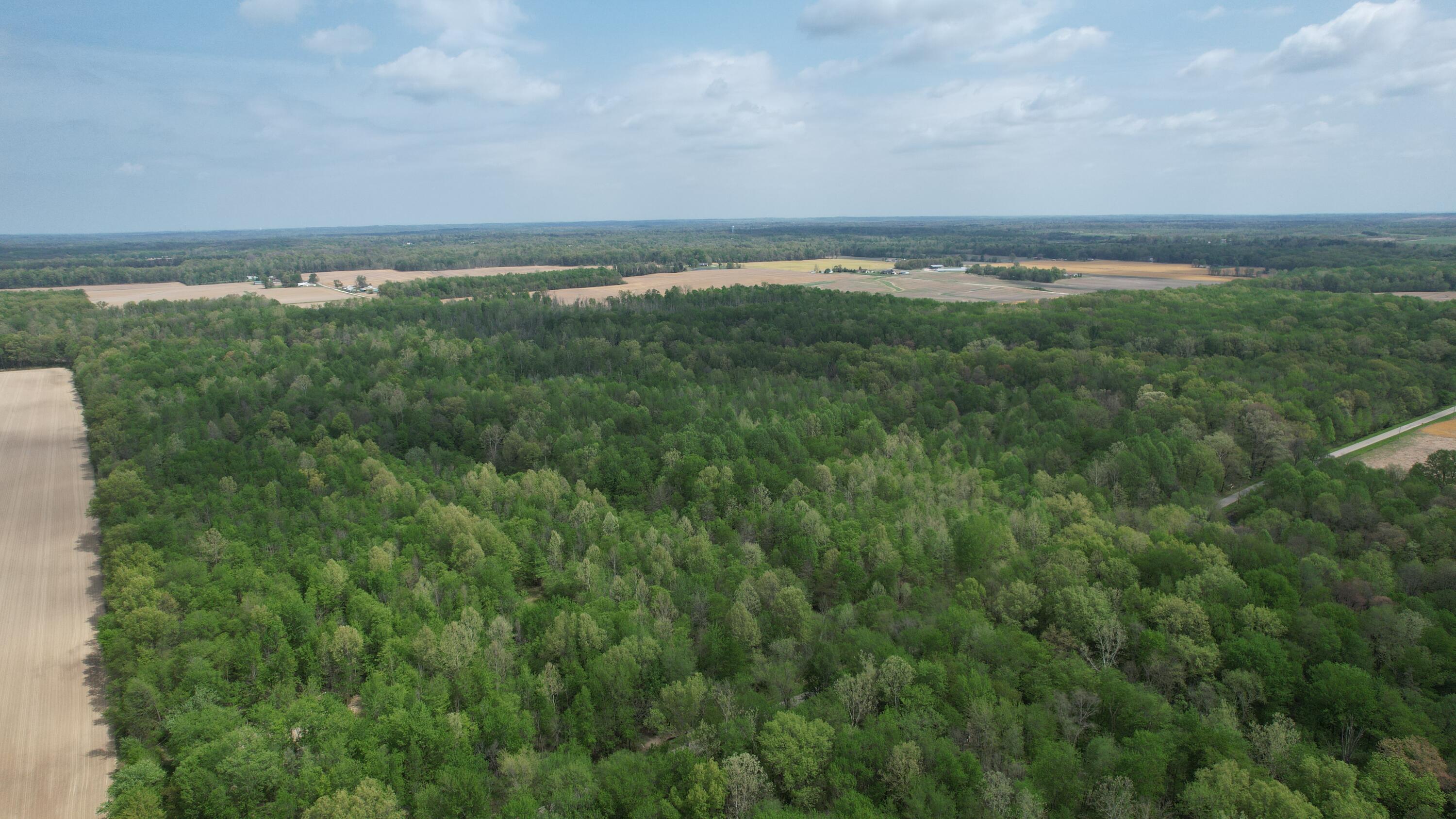 0 West Co Road South Oakland City, IN 47660 - Photo 4 of 10 a view of an ocean
